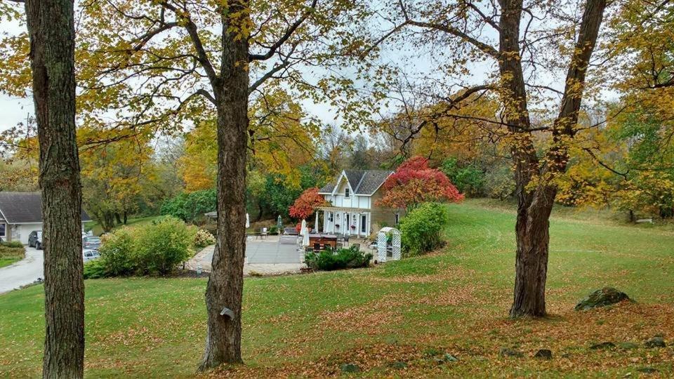 Clyde Hall Bed And Breakfast Lanark Exterior foto